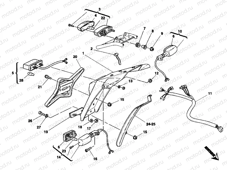 TAILLIGHT » LIGHTING SYSTEM