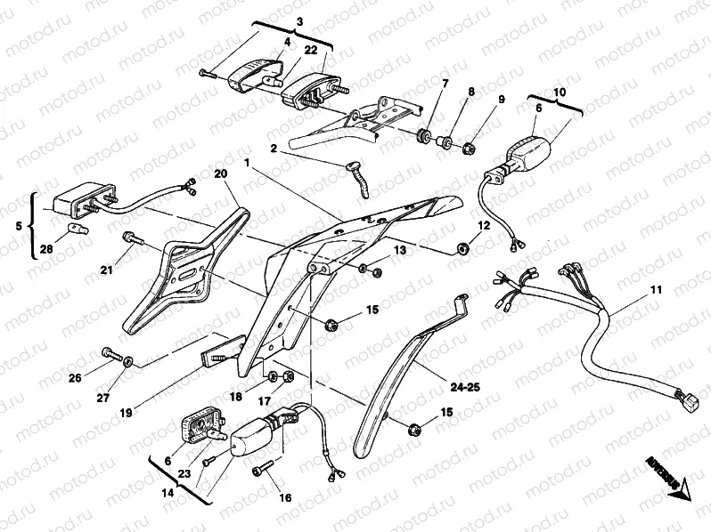 TAILLIGHT » LIGHTING SYSTEM