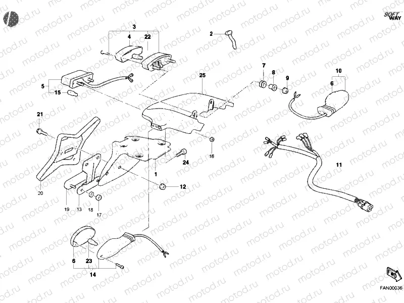TAILLIGHT » LIGHTING SYSTEM