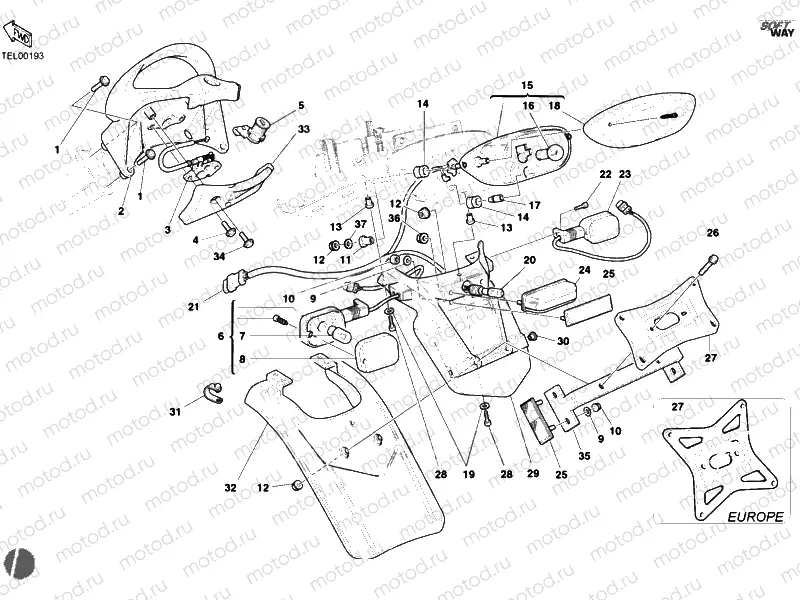 TAILLIGHT » LIGHTING SYSTEM