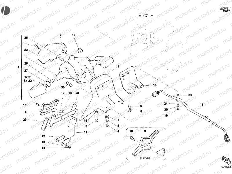 TAILLIGHT » LIGHTING SYSTEM