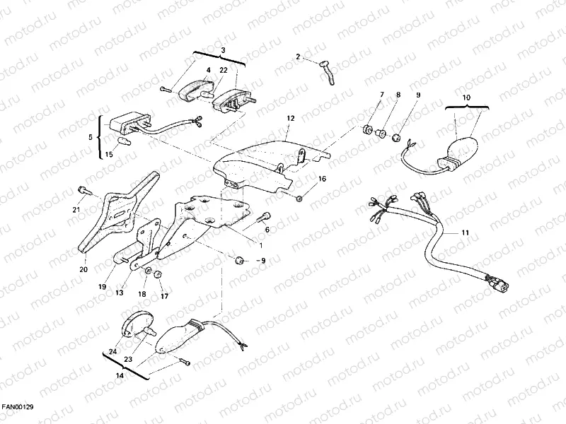 TAILLIGHT » LIGHTING SYSTEM