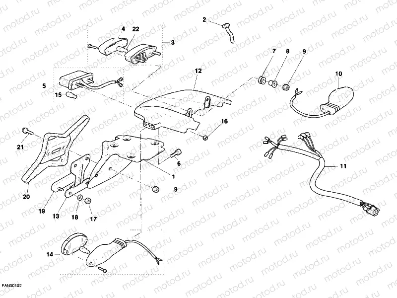 TAILLIGHT » LIGHTING SYSTEM
