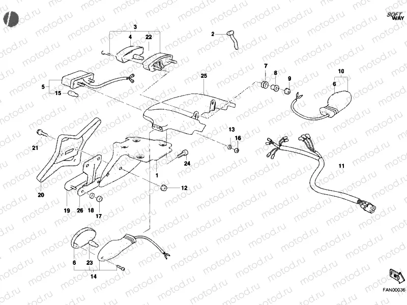 TAILLIGHT » LIGHTING SYSTEM
