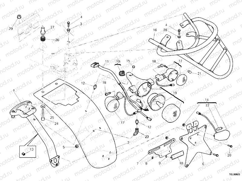 TAILLIGHT » LIGHTING SYSTEM