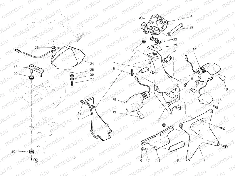 TAILLIGHT » LIGHTING SYSTEM