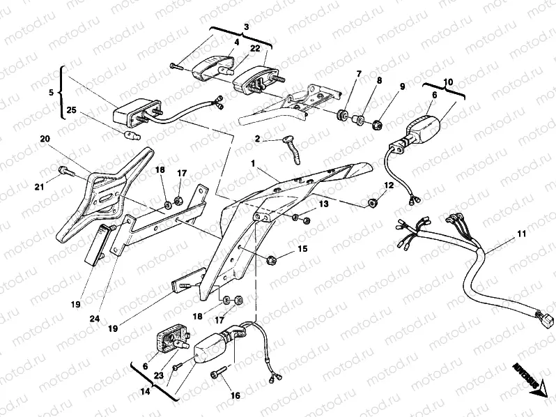 TAILLIGHT USA » LIGHTING SYSTEM