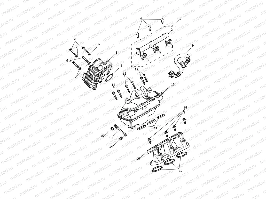 Throttle Bodies