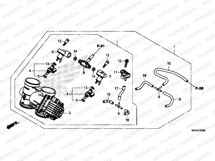 THROTTLE BODY