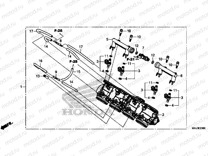 THROTTLE BODY
