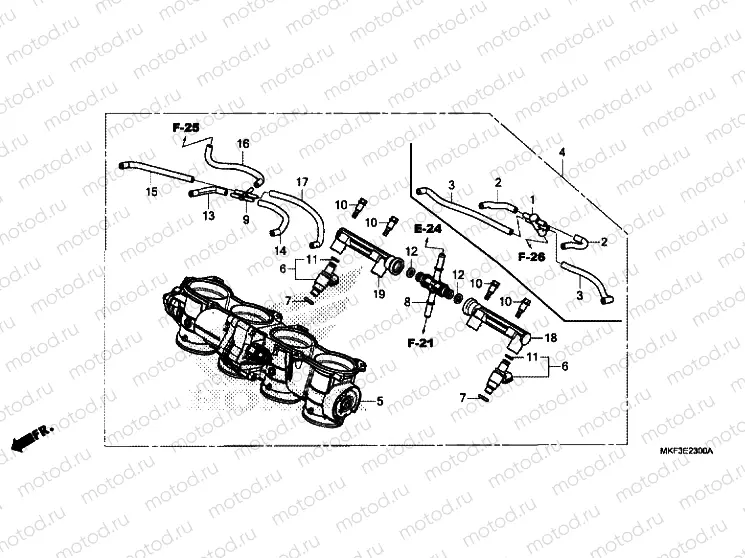 THROTTLE BODY