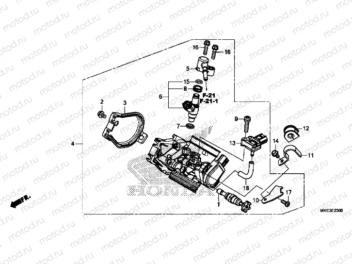 THROTTLE BODY