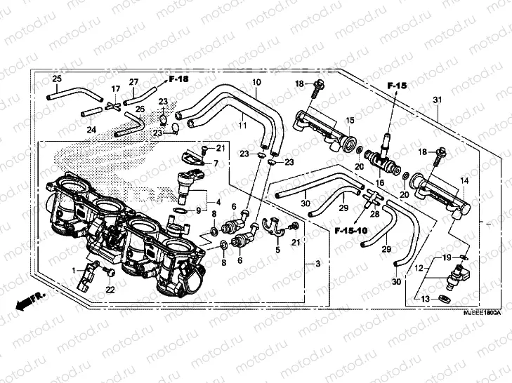 THROTTLE BODY