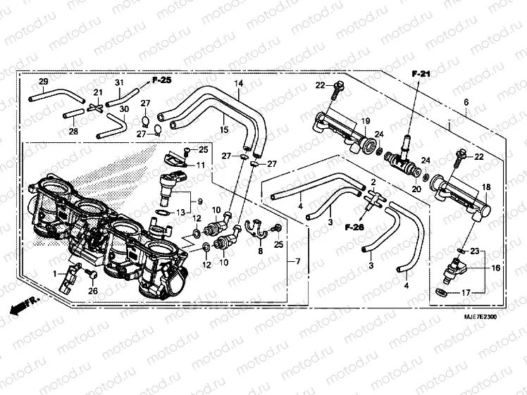 THROTTLE BODY