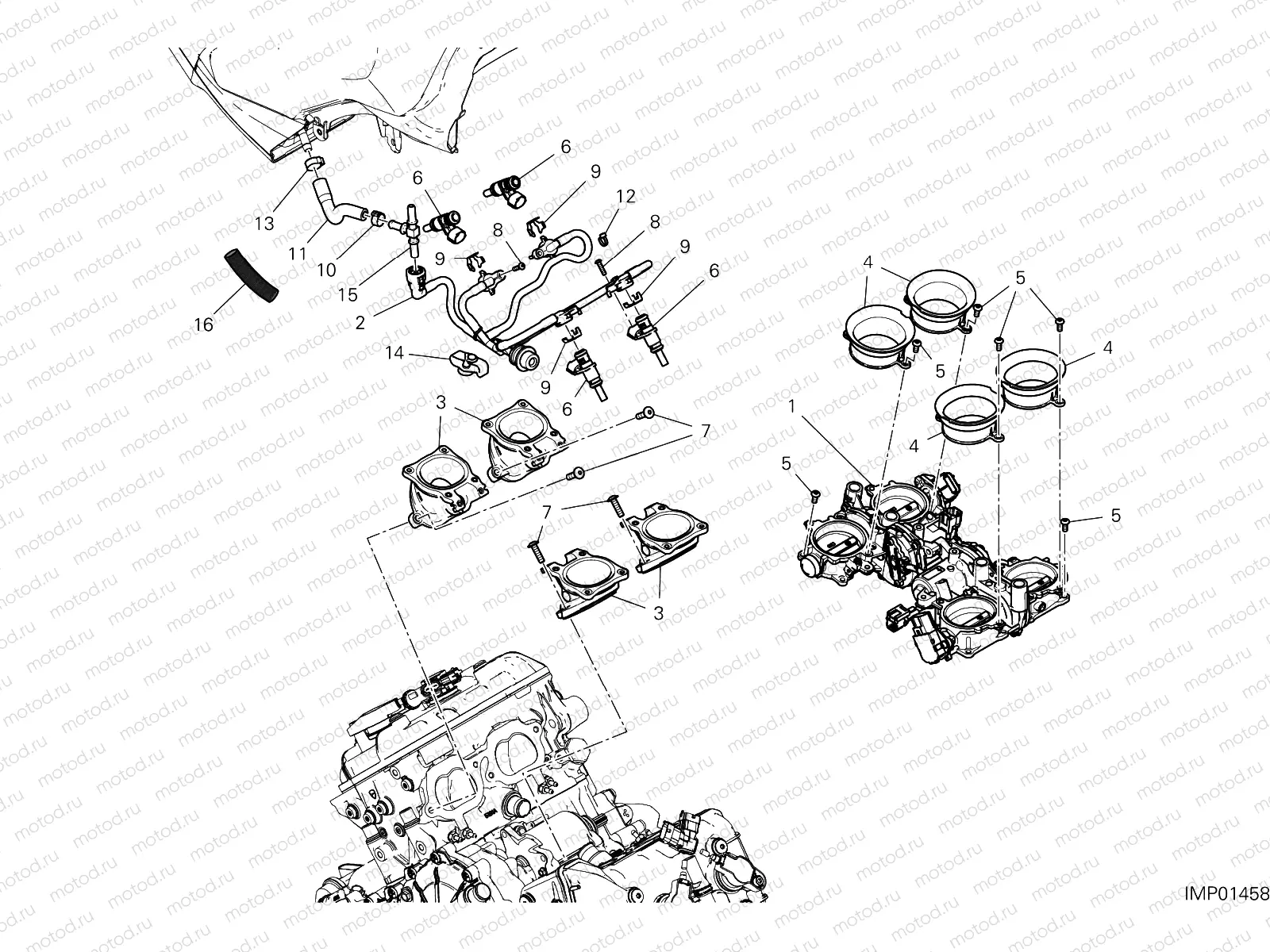 THROTTLE BODY