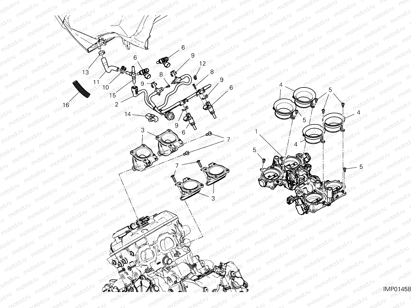 THROTTLE BODY