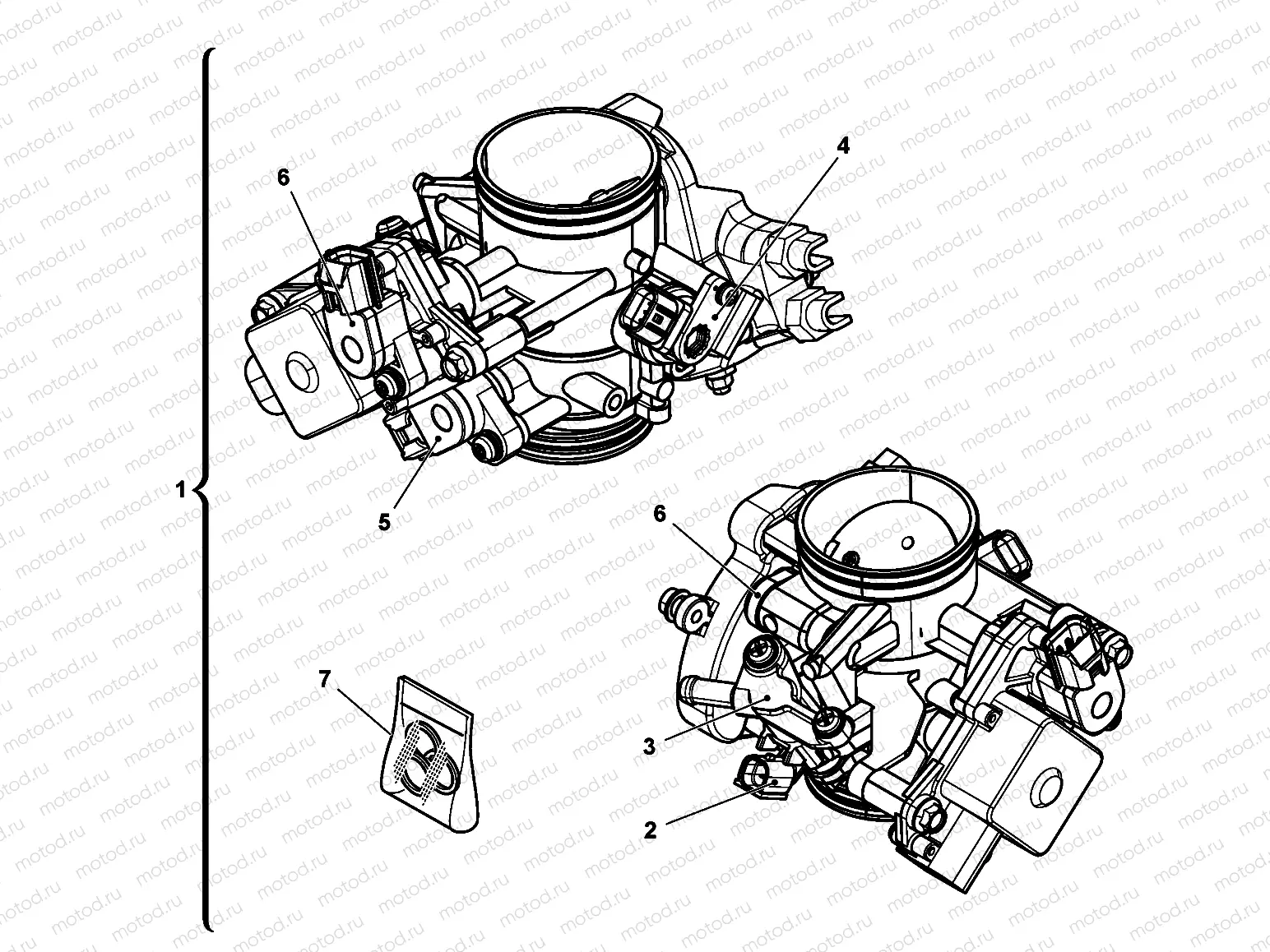 THROTTLE BODY
