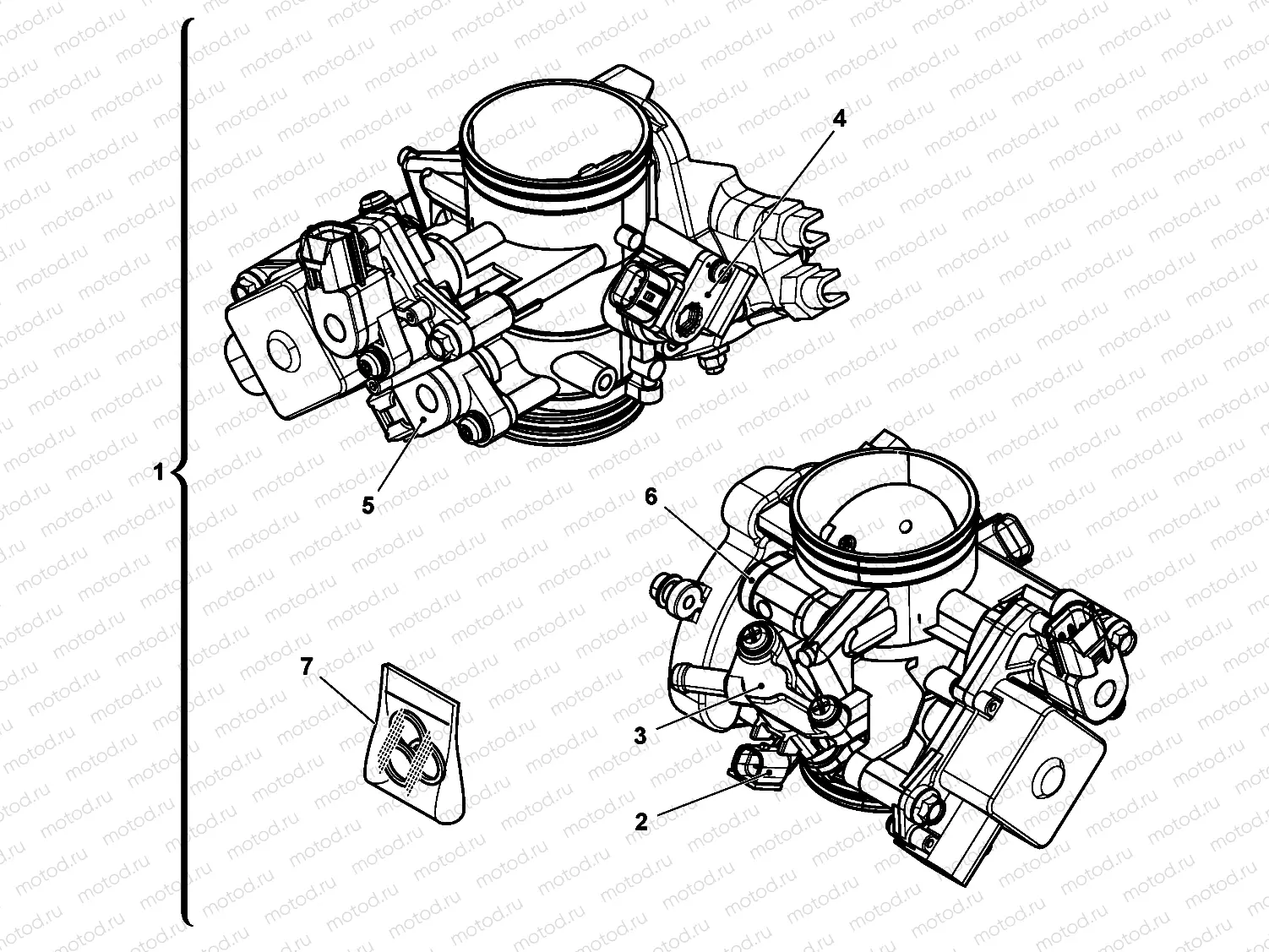 THROTTLE BODY