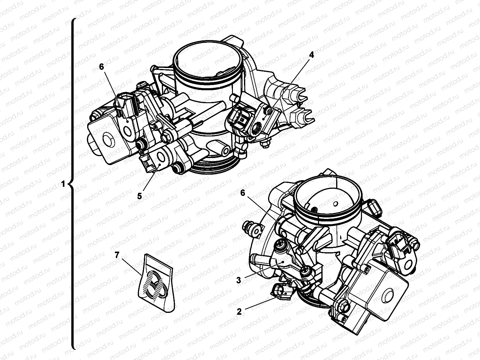THROTTLE BODY