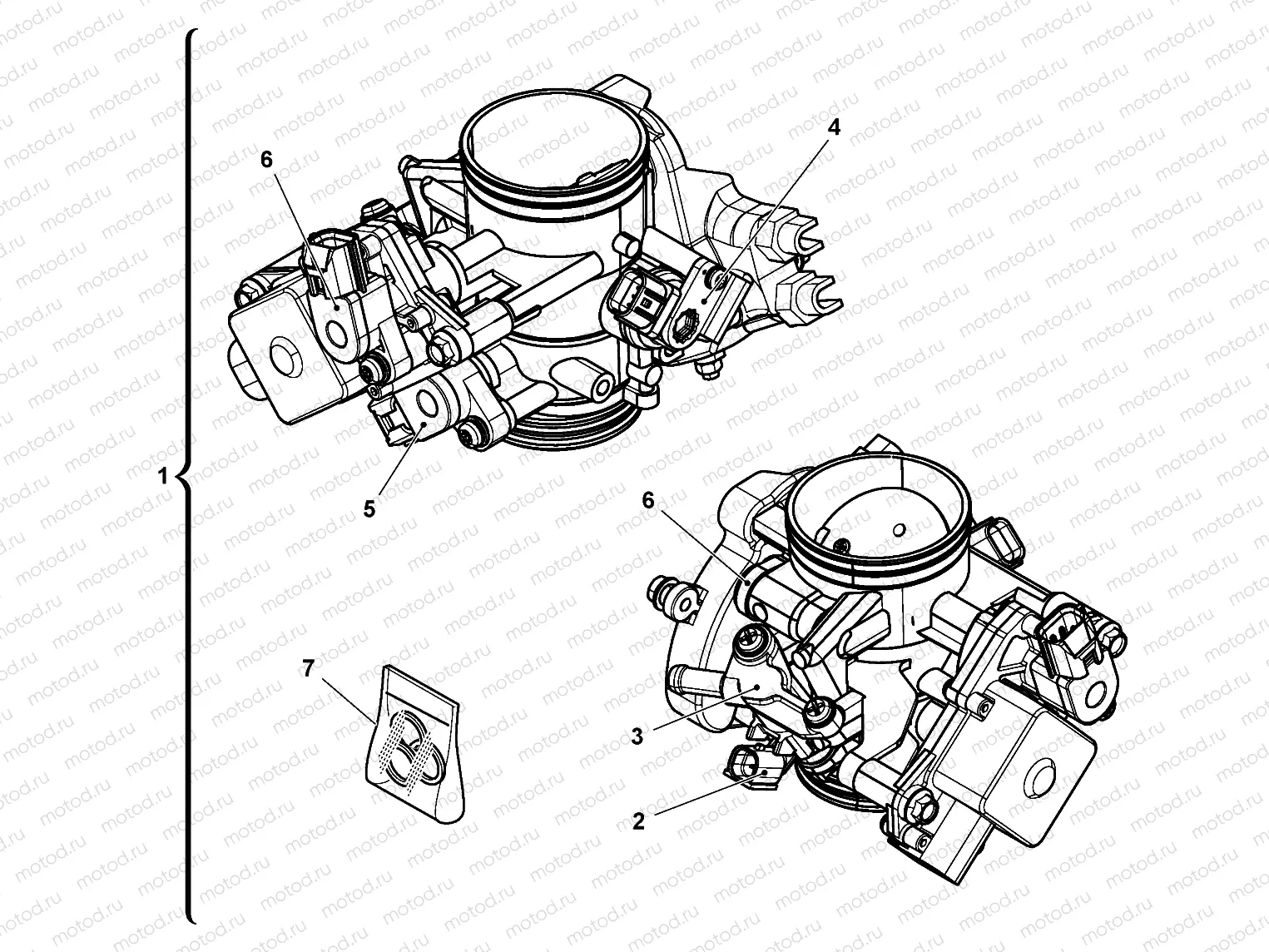 THROTTLE BODY