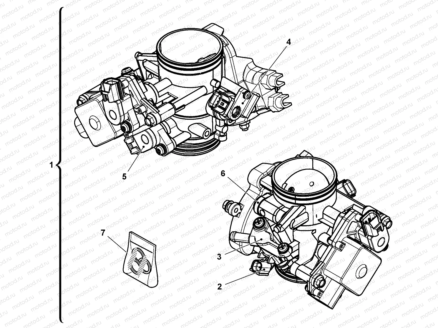 THROTTLE BODY