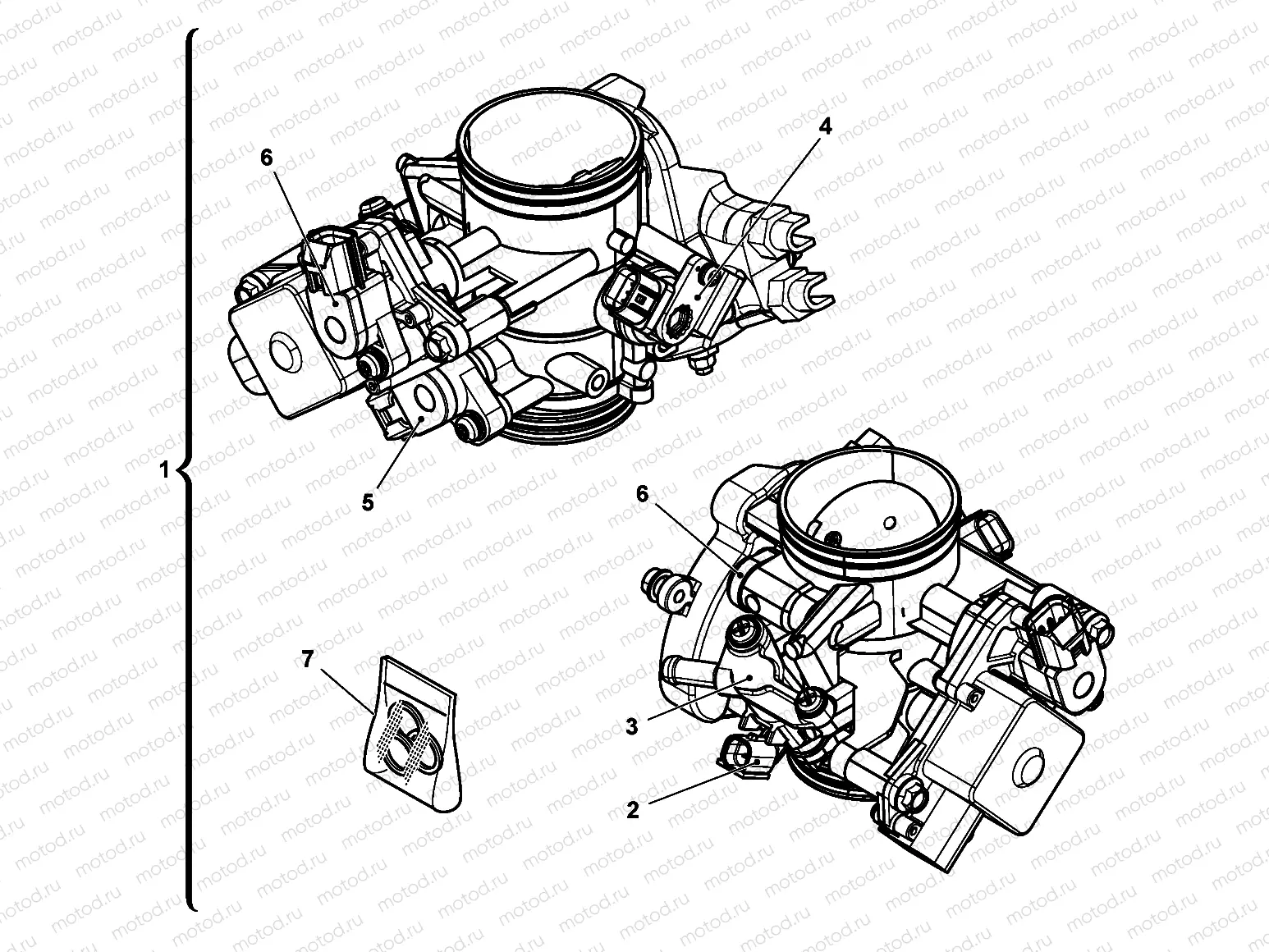 THROTTLE BODY