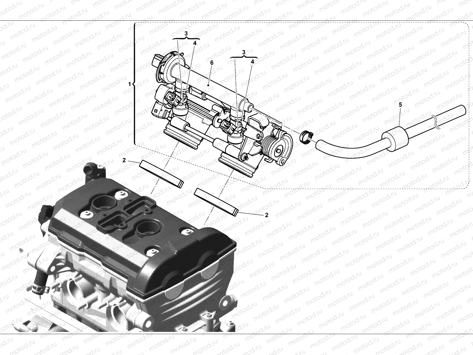 THROTTLE BODY