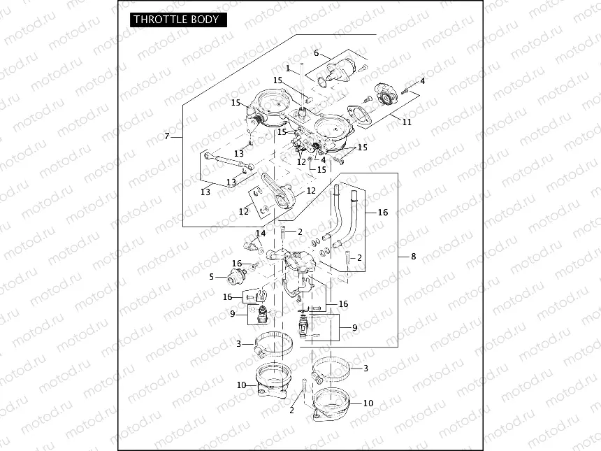 THROTTLE BODY