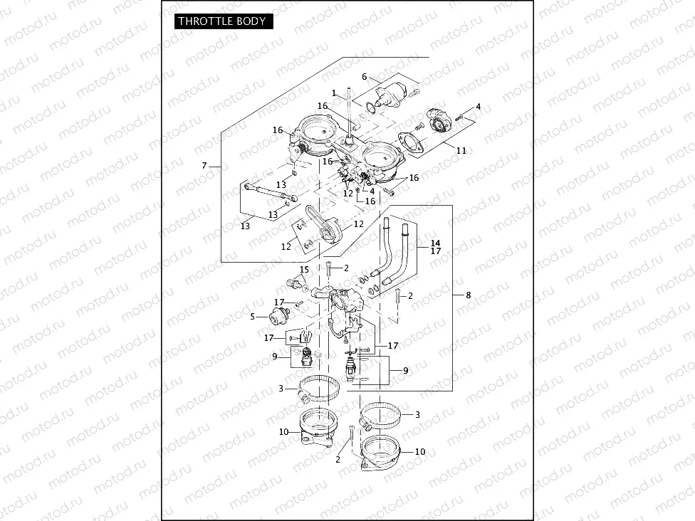 THROTTLE BODY