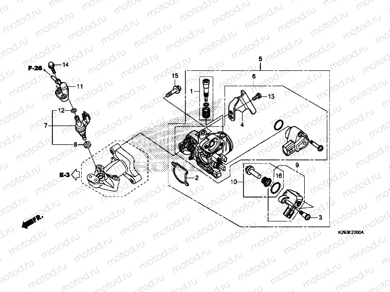 THROTTLE BODY / FUEL INJECTOR