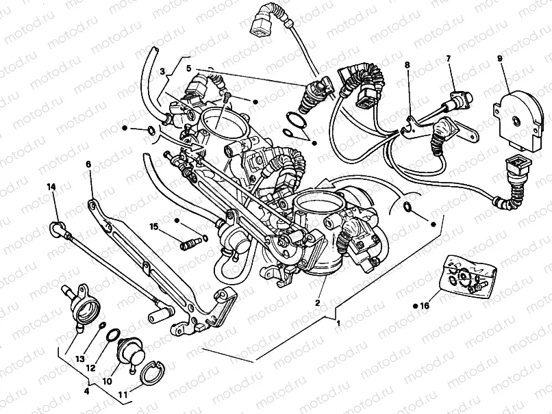 THROTTLE BODY » INTAKE, CARBURETTOR