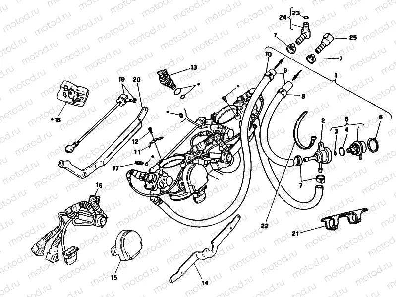 THROTTLE BODY » INTAKE, CARBURETTOR