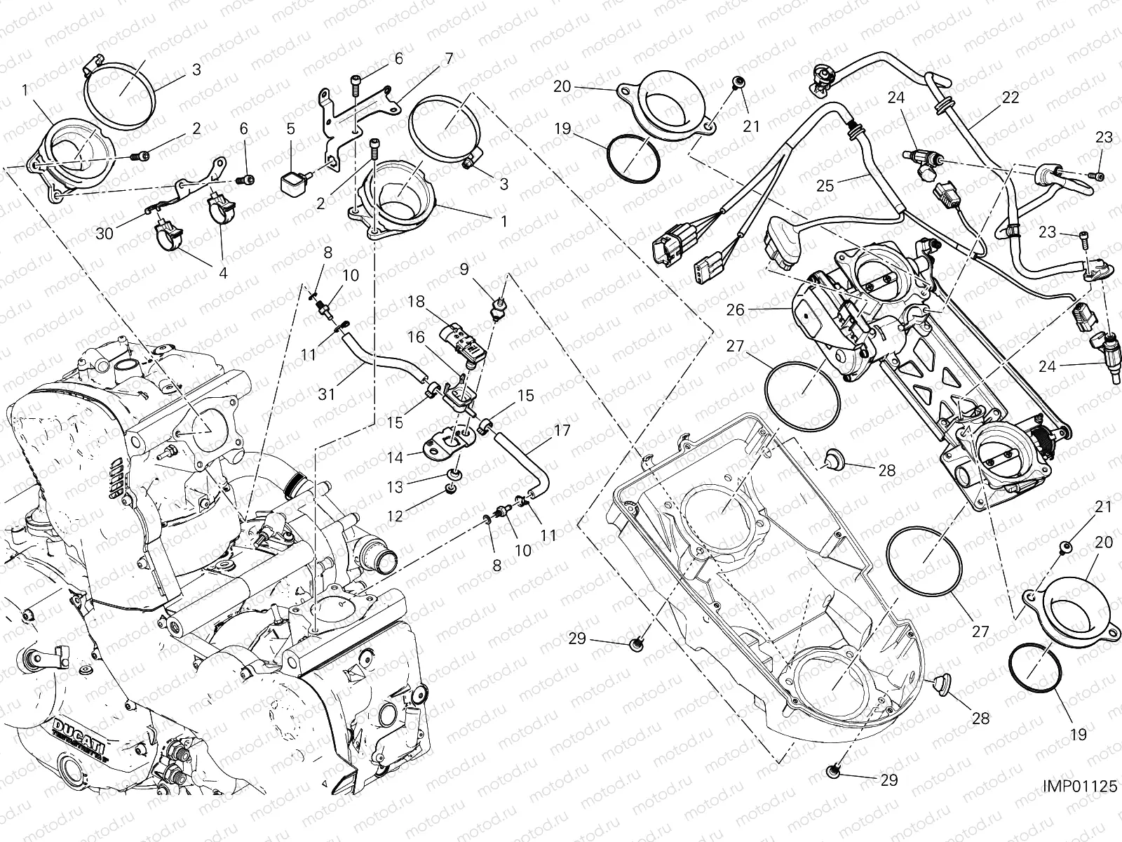 THROTTLE BODY [MOD:SS 939 S]