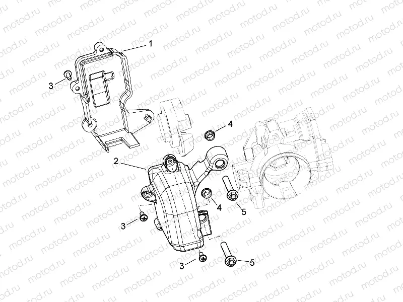 Throttle body Protection