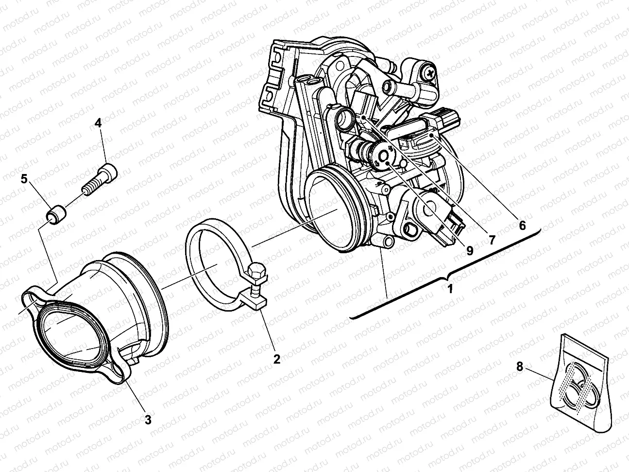 THROTTLE BODY (TC)