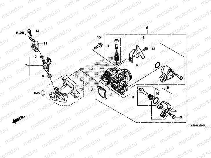 THROTTLE BODY/FUEL INJECTOR