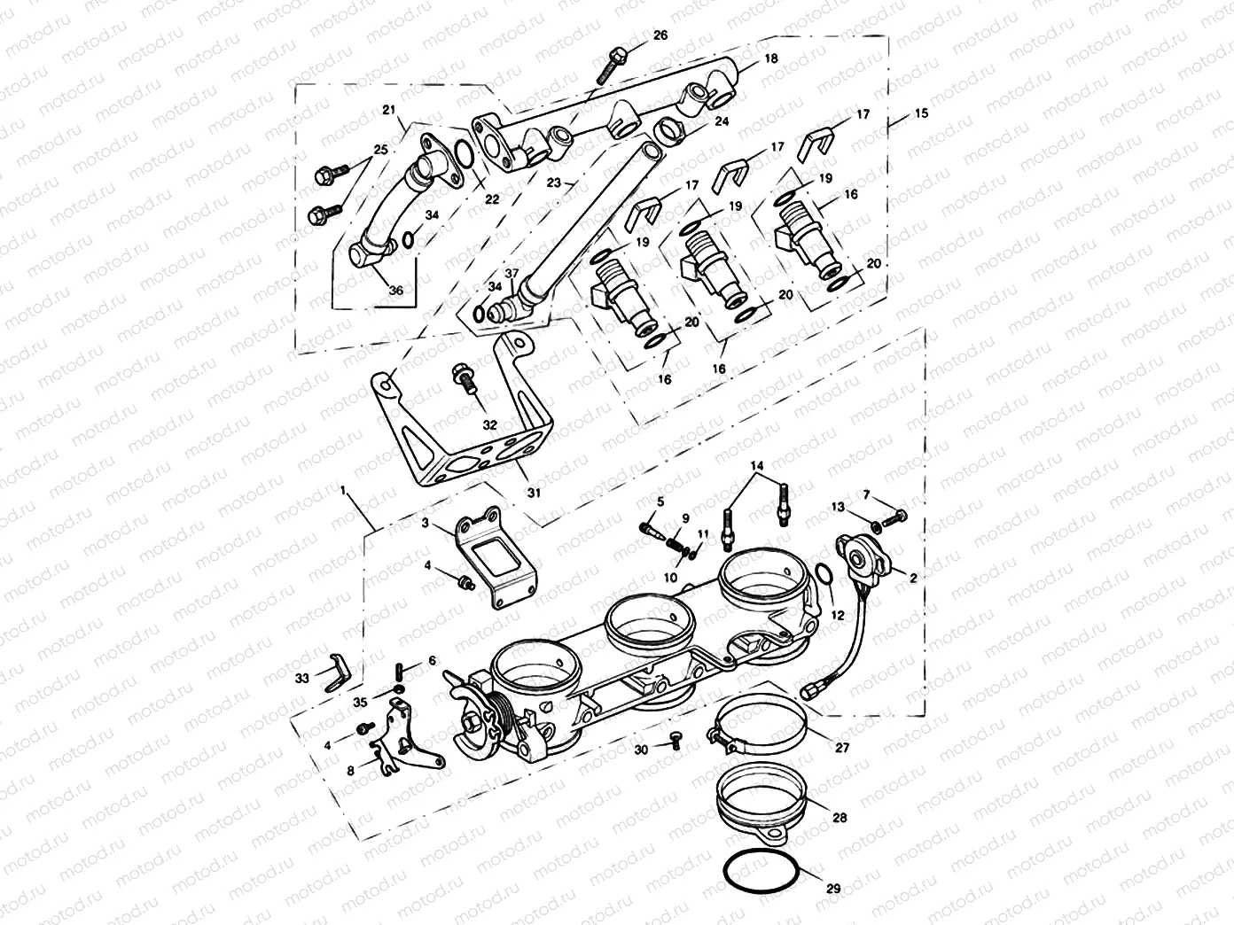 Throttles, Injectors 207554