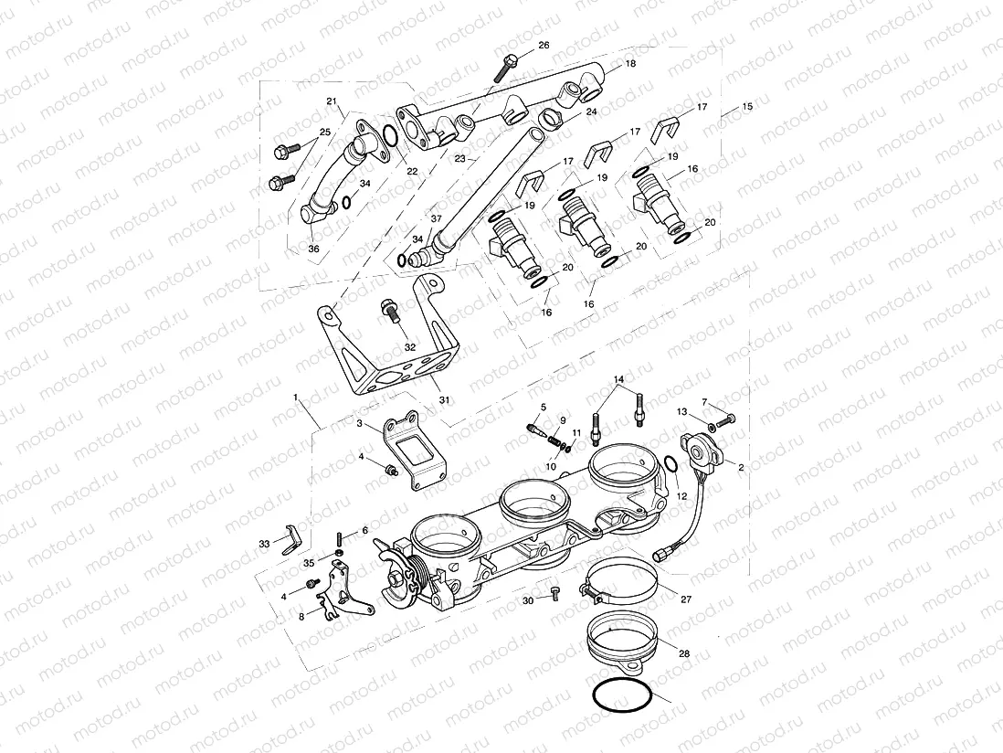 Throttles, Injectors and Fuel Rail > 207554