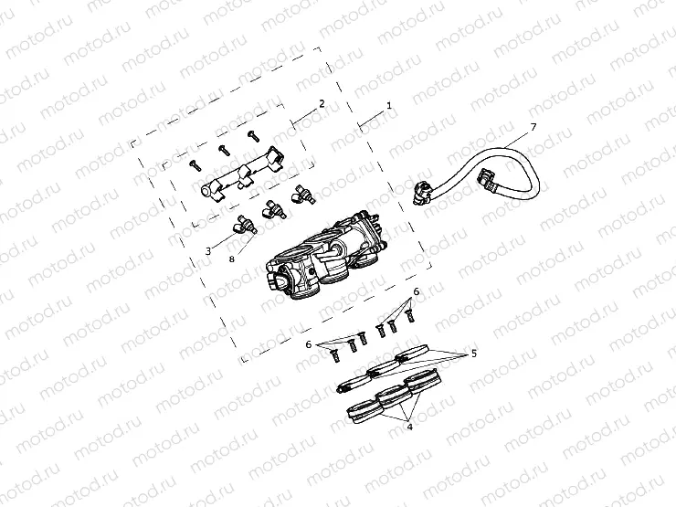 Throttles, Injectors and Fuel Rail