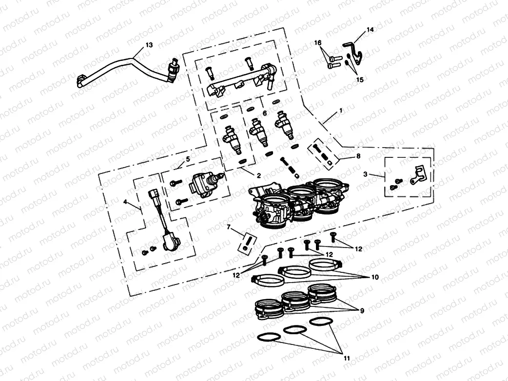 Throttles, Injectors & Fuel Rail