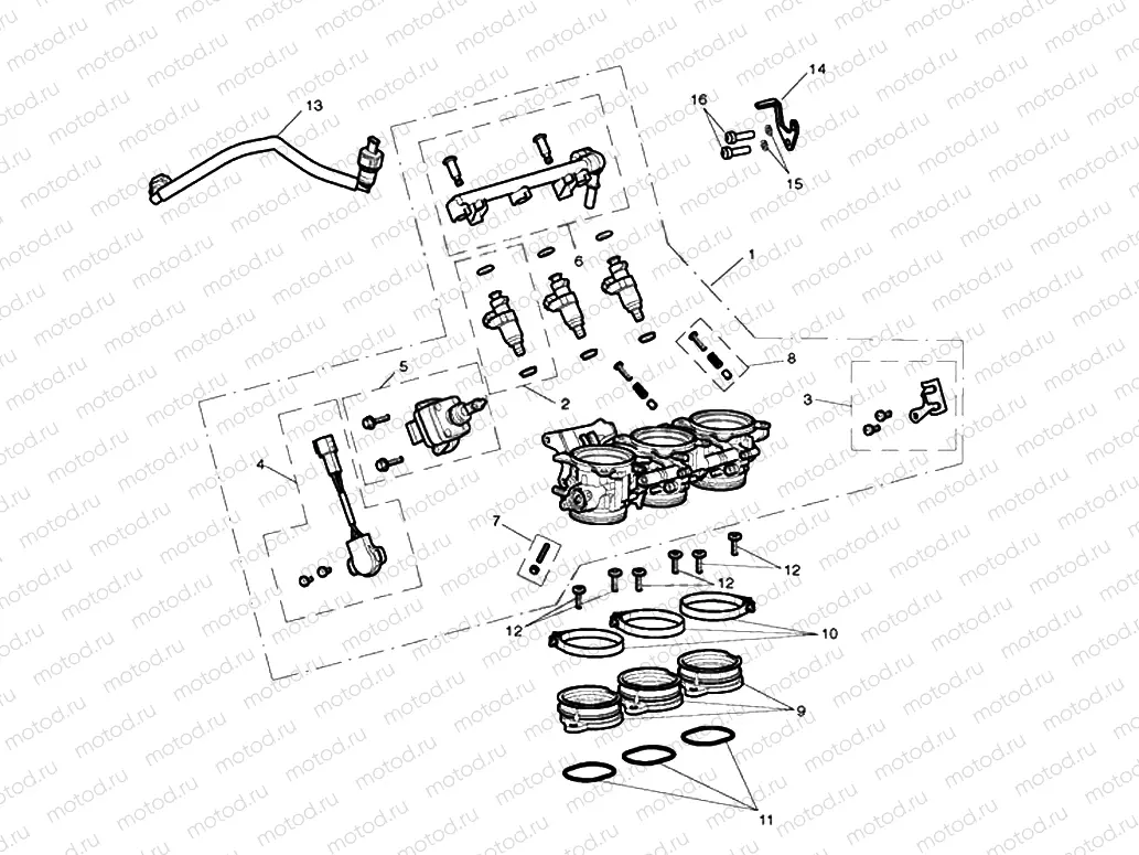 Throttles, Injectors & Fuel Rail