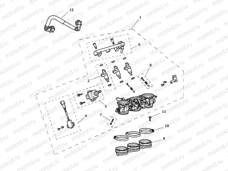 Throttles, Injectors, Fuel Rail