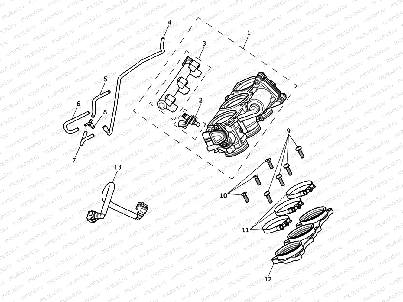 Throttles, Injectors, Fuel Rail