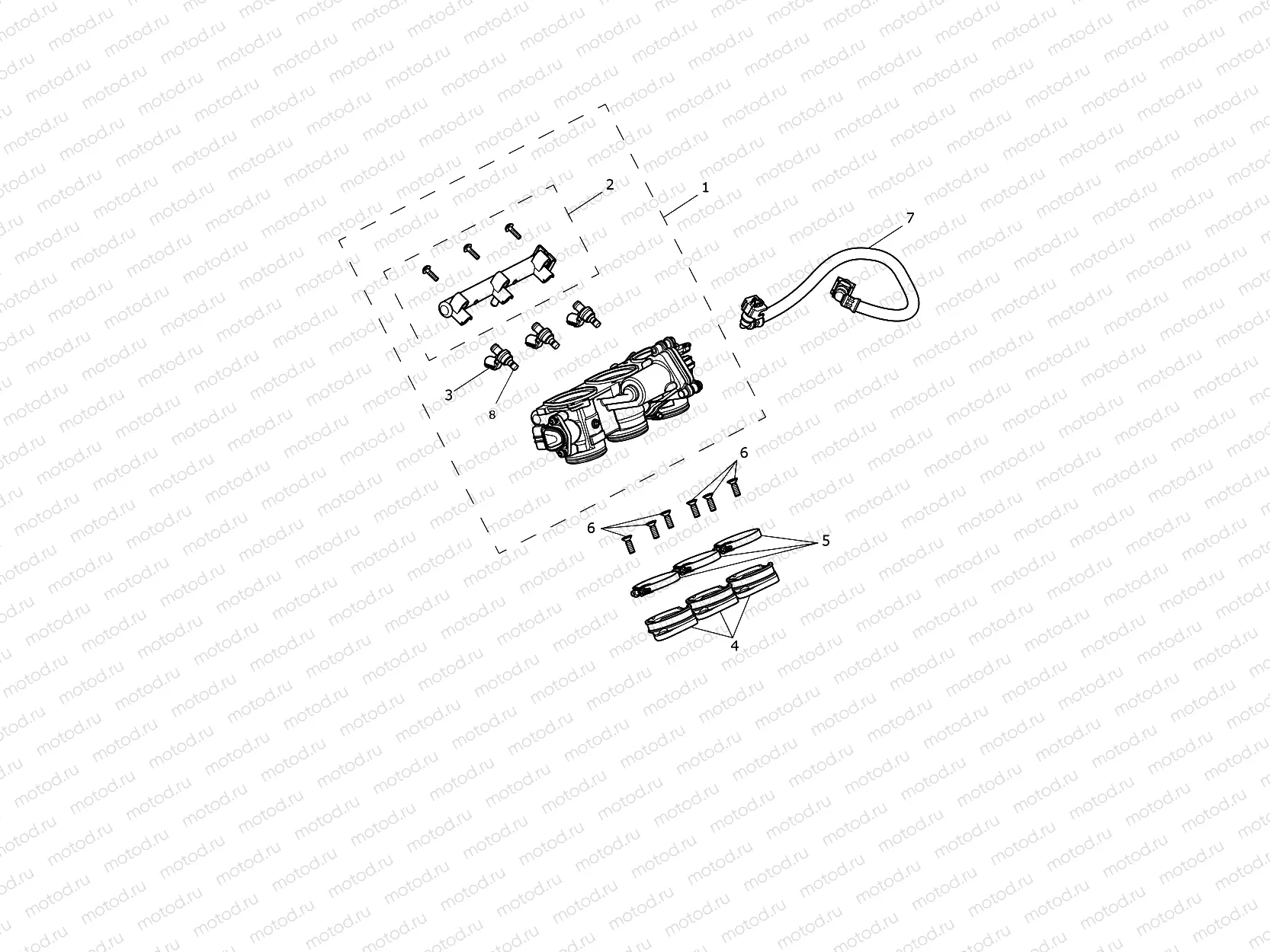 Throttles, Injectors, Fuel Rail