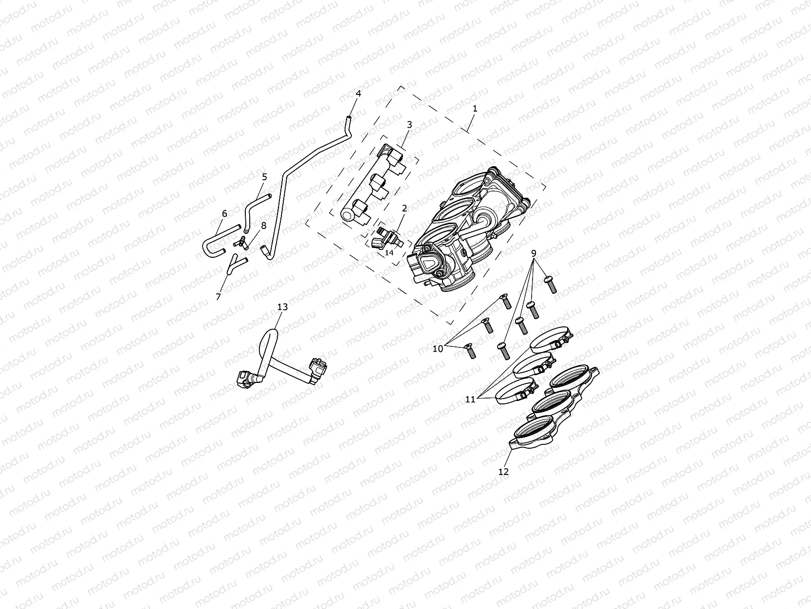 Throttles, Injectors, Fuel Rail