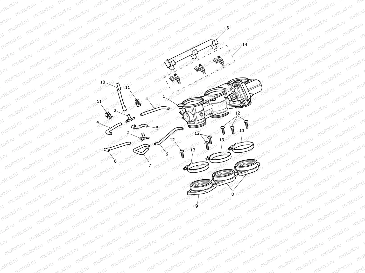 Throttles, Injectors & Fuel Rails