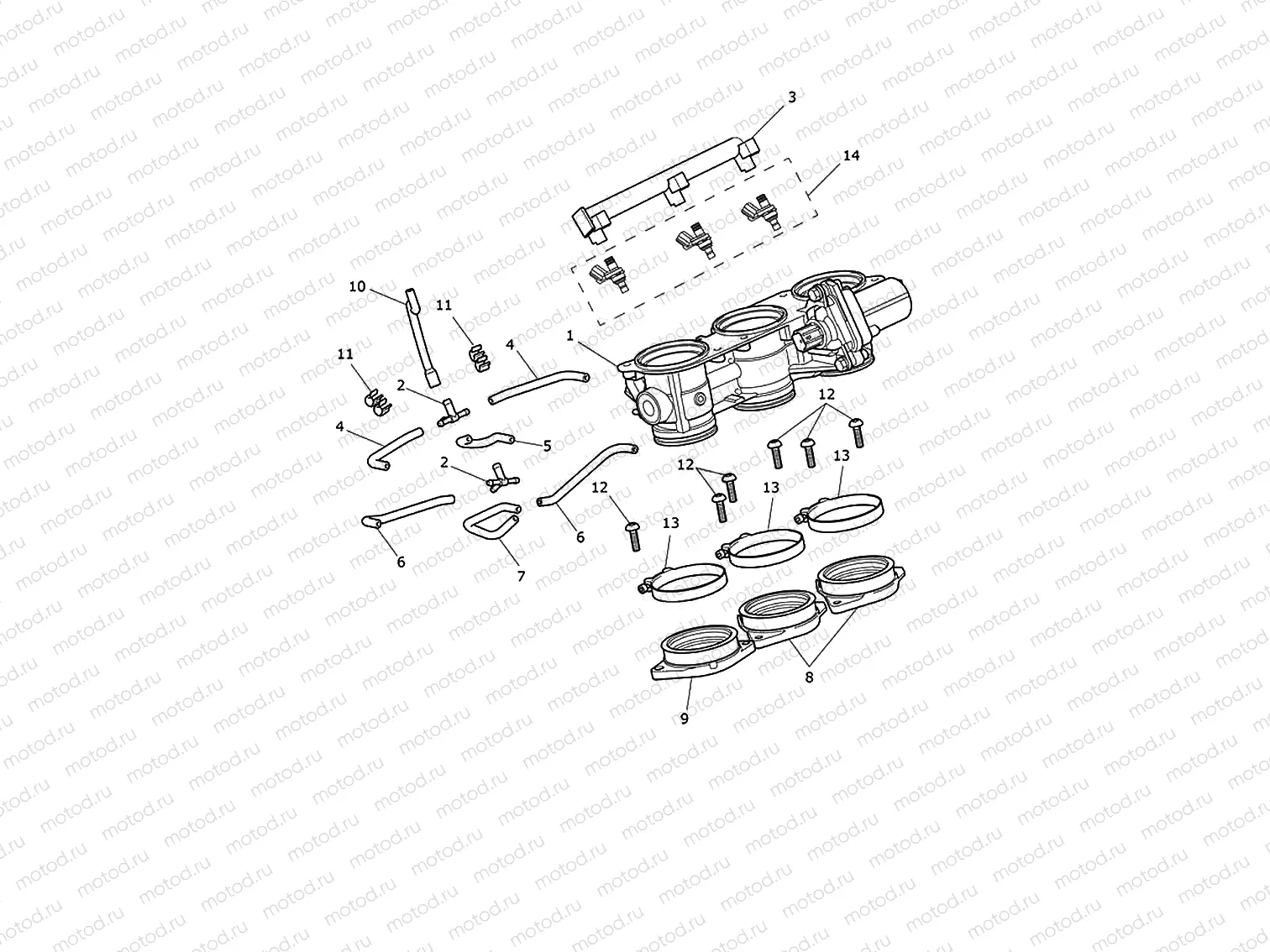 Throttles, injectors & fuel rails