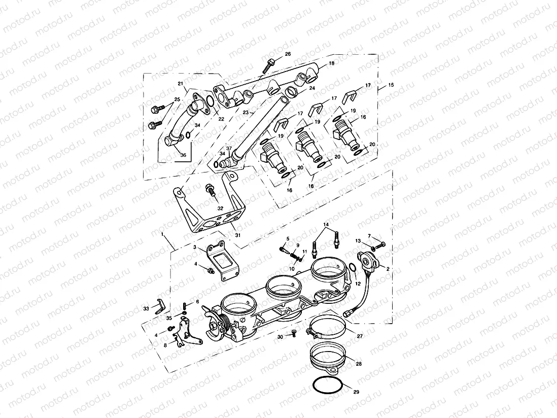 Throttles/Injectors and Fuel Rail > 207554