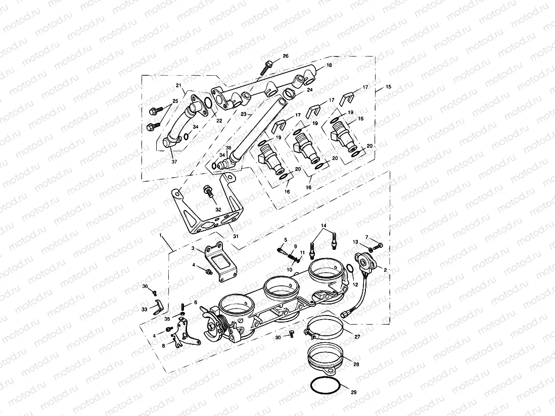 Throttles/Injectors and Fuel Rail > 207554