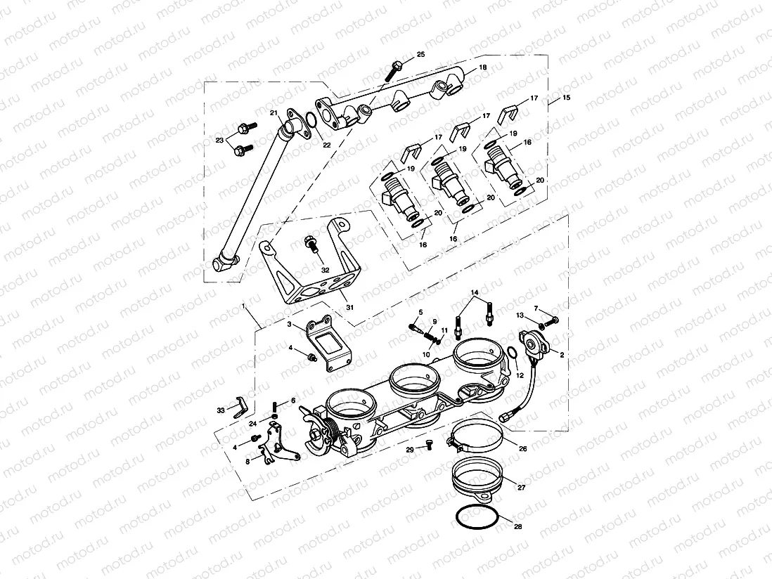 Throttles/Injectors and Fuel Rail 207555 >